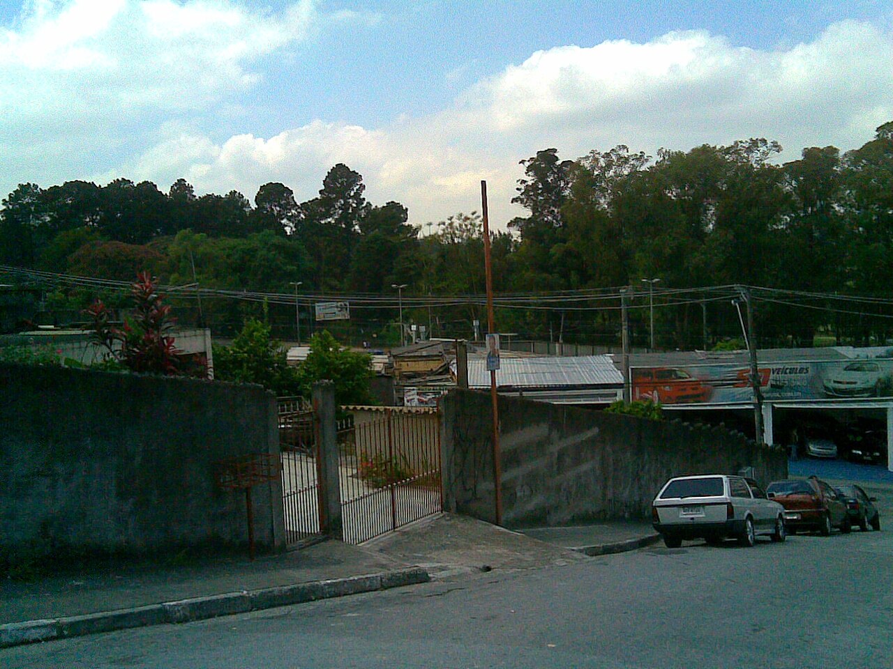 Árvores do parque em Barueri