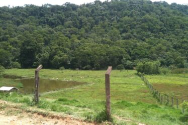 Panorama de Cabreúva