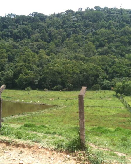Panorama de Cabreúva