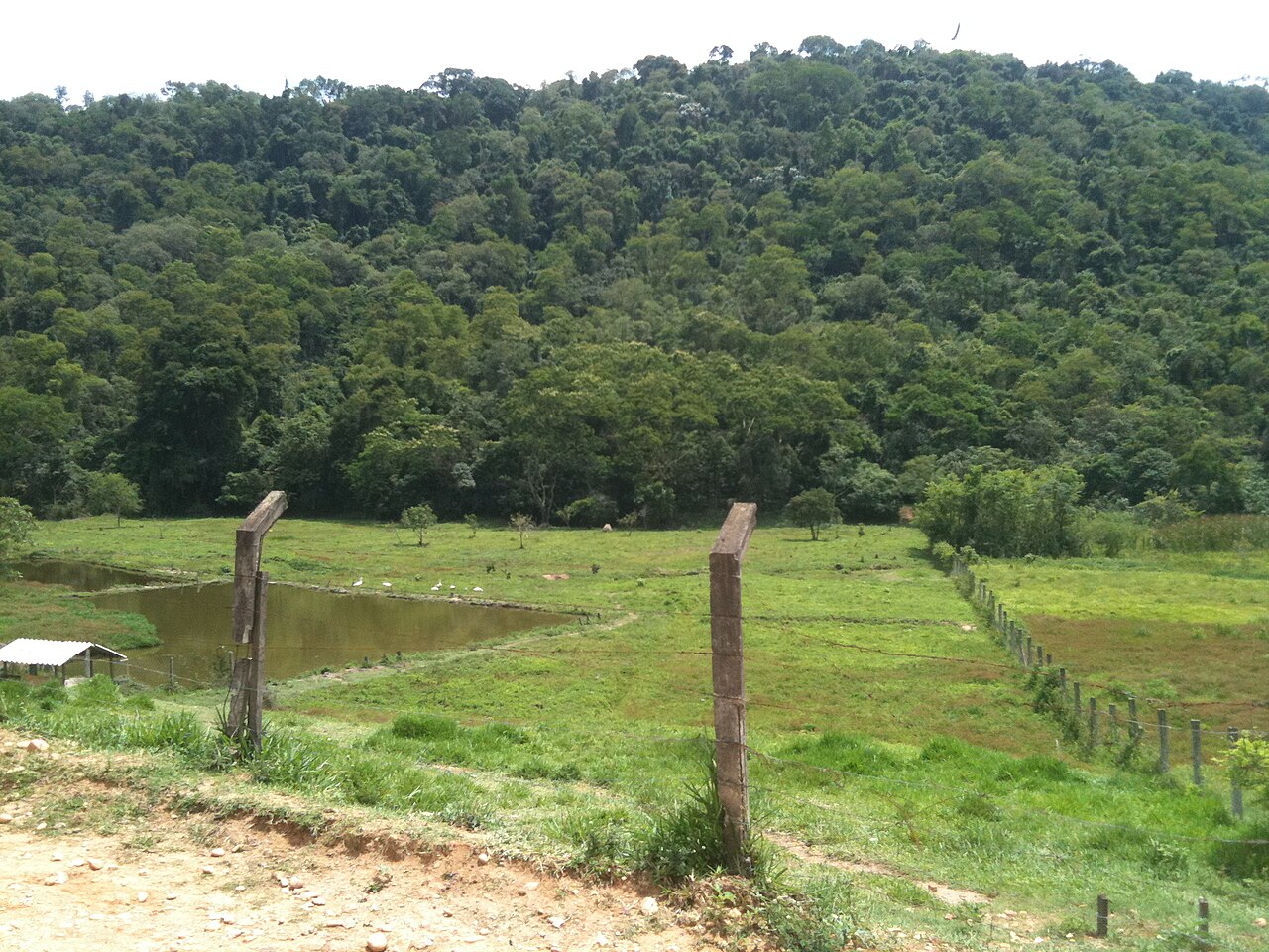 Top 4 lugares para visitar em Cabreúva: guia completo