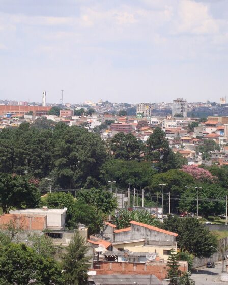 Árvores no Parque Municipal de Barueri