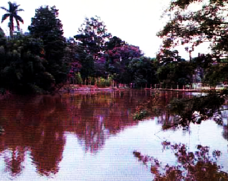 Parque Chico Mendes em Osasco