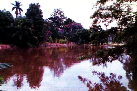 Parque Chico Mendes em Osasco: lazer gratuito