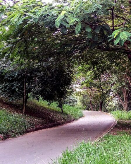 Parque Dionísio Alvares Mateos em Osasco