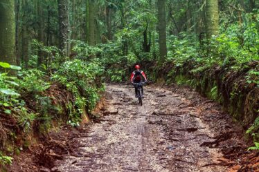 Reserva Florestal em Caieiras