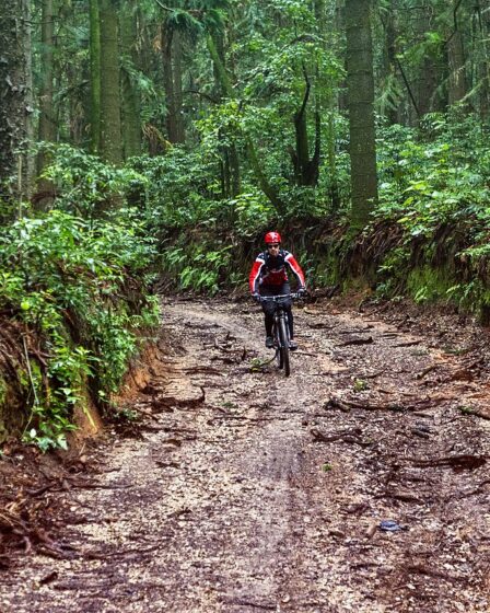 Reserva Florestal em Caieiras