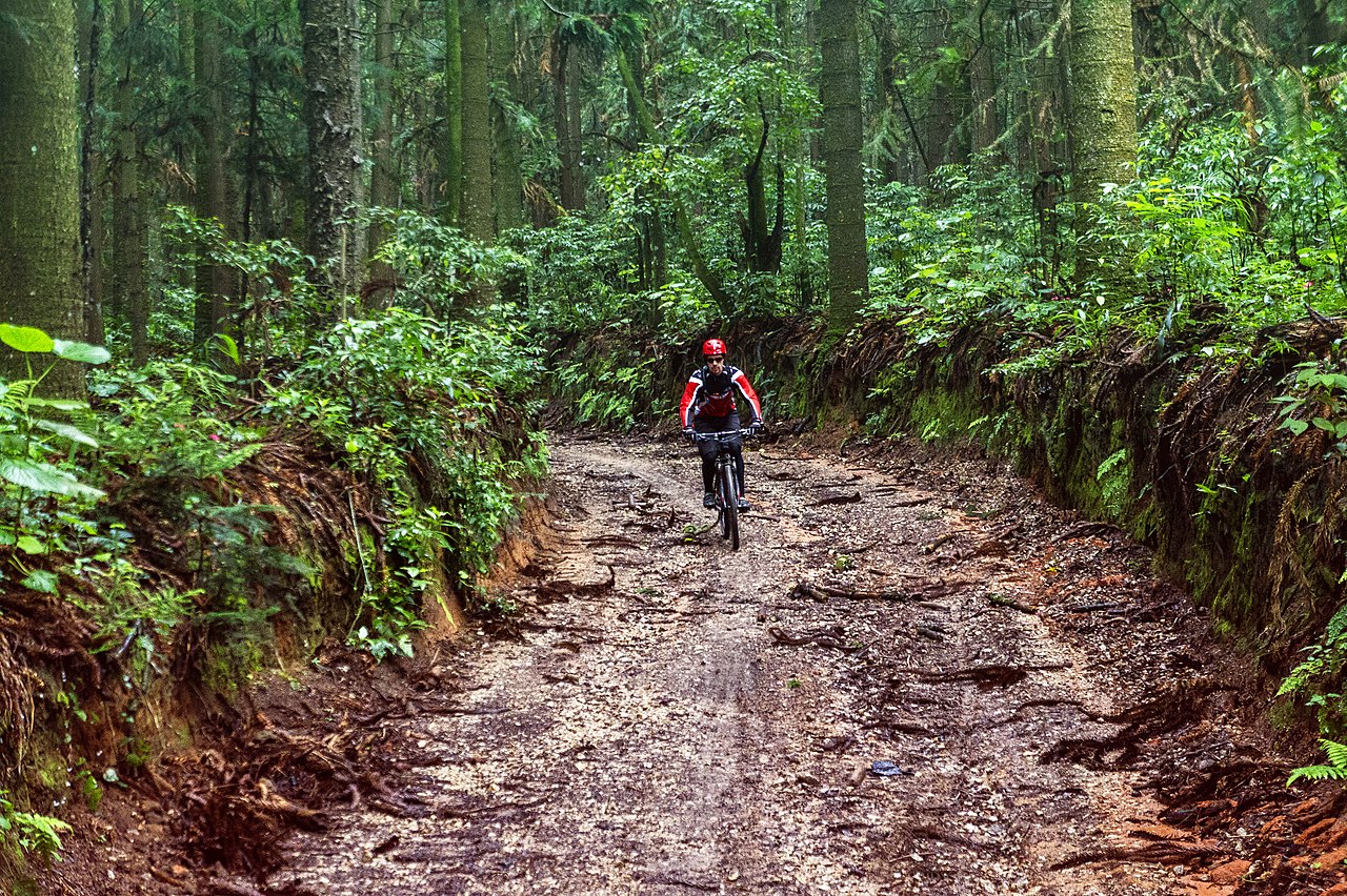 Reserva Florestal em Caieiras