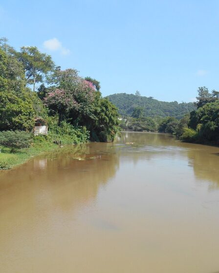 Rio Paraíba do Sul em Guararema trecho calmo